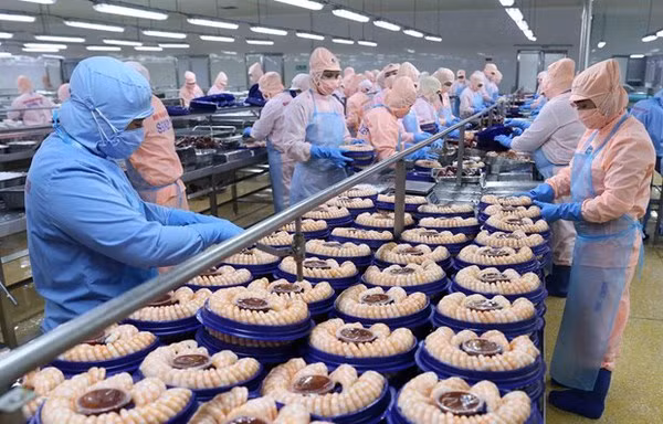 Les exportations de produits agricoles vers les Pays-Bas en hausse grâce à l’EVFTA ảnh 1 Les exportations de produits agricoles vers les Pays-Bas en hausse grâce à l’EVFTA ảnh 1