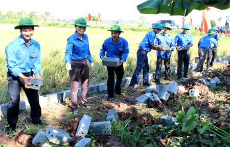 Bientôt la campagne d’été des jeunes volontaires 2016 ảnh 1 Bientôt la campagne d’été des jeunes volontaires 2016 ảnh 1