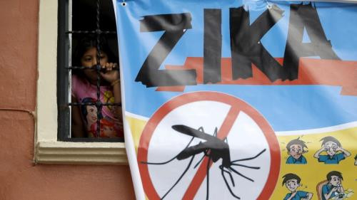 Aucun cas de virus Zika détecté à Ho Chi Minh-Ville ảnh 1 Aucun cas de virus Zika détecté à Ho Chi Minh-Ville ảnh 1