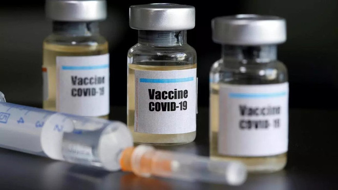 COVID-19 : Accélérer la recherche d'un vaccin contre le SARS-CoV-2 ảnh 1 COVID-19 : Accélérer la recherche d'un vaccin contre le SARS-CoV-2 ảnh 1