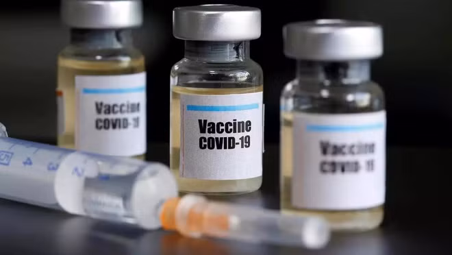 COVID-19 : Accélérer la recherche d'un vaccin contre le SARS-CoV-2 ảnh 1 COVID-19 : Accélérer la recherche d'un vaccin contre le SARS-CoV-2 ảnh 1