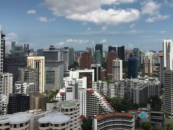 Singapour donne la priorité à la réforme économique ảnh 1