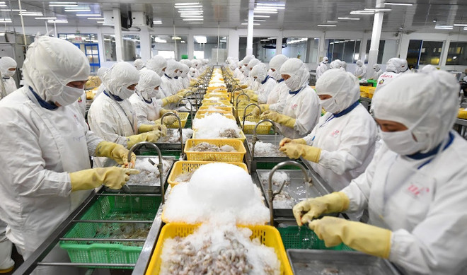 Le nombre d'entreprises reprenant leurs activités a plus que triplé en juin ảnh 1