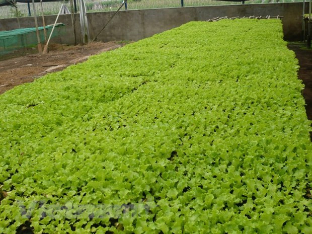 Crédit vert: un marché prometteur mais jonché d'obstacles ảnh 2 Crédit vert: un marché prometteur mais jonché d'obstacles ảnh 2