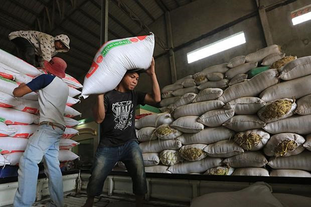 Les exportations de riz du Cambodge continuent de baisser ảnh 1 Les exportations de riz du Cambodge continuent de baisser ảnh 1