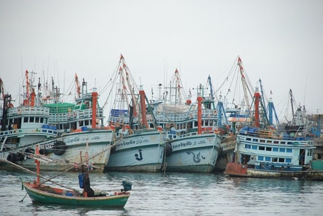 La Thaïlande et l'UE discutent de la pêche INN ảnh 1 La Thaïlande et l'UE discutent de la pêche INN ảnh 1