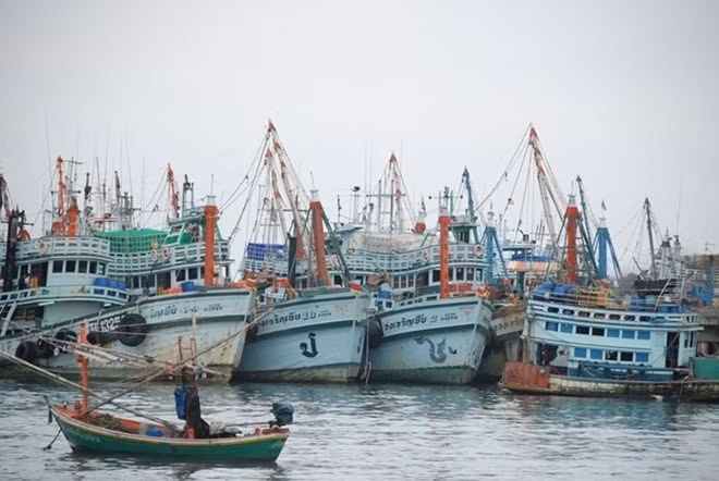 La Thaïlande et l'UE discutent de la pêche INN ảnh 1
