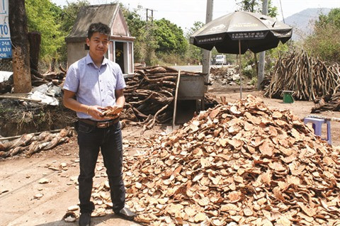 KORA, la start-up qui mise sur les plantes sauvages ảnh 1 KORA, la start-up qui mise sur les plantes sauvages ảnh 1