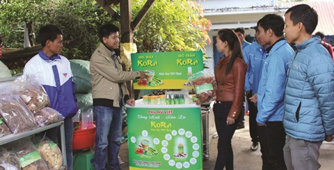 KORA, la start-up qui mise sur les plantes sauvages ảnh 2 KORA, la start-up qui mise sur les plantes sauvages ảnh 2