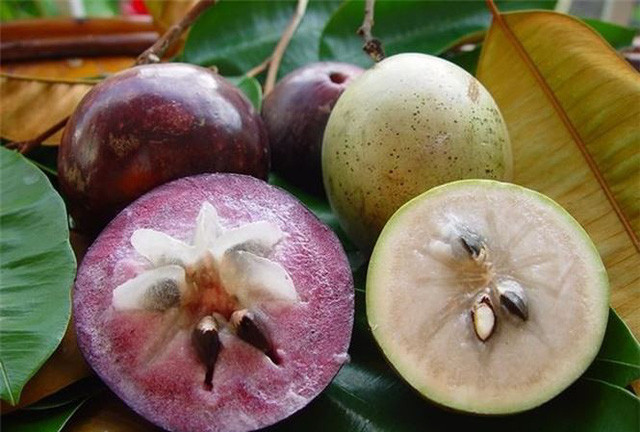 Soc Trang : un premier lot de caïmites part pour les Etats-Unis ảnh 1