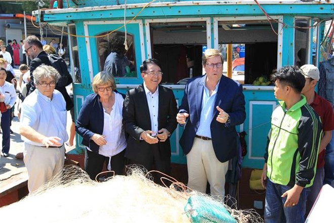 Le Vietnam met tout en œuvre pour construire une pêche durable ảnh 1 Le Vietnam met tout en œuvre pour construire une pêche durable ảnh 1