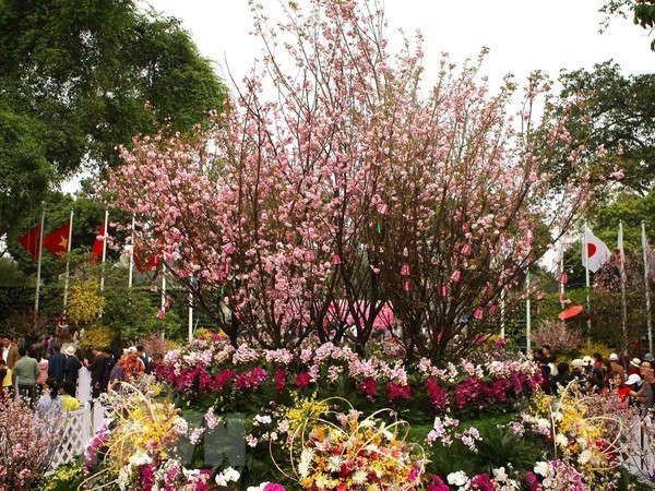 "Le début du Japon" diffusé sur VTV ảnh 1 "Le début du Japon" diffusé sur VTV ảnh 1