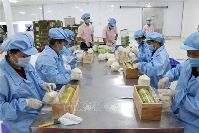 Soutenir des entreprises vietnamiennes pour accroître leurs exportations vers l’Allemagne ảnh 1 Soutenir des entreprises vietnamiennes pour accroître leurs exportations vers l’Allemagne ảnh 1