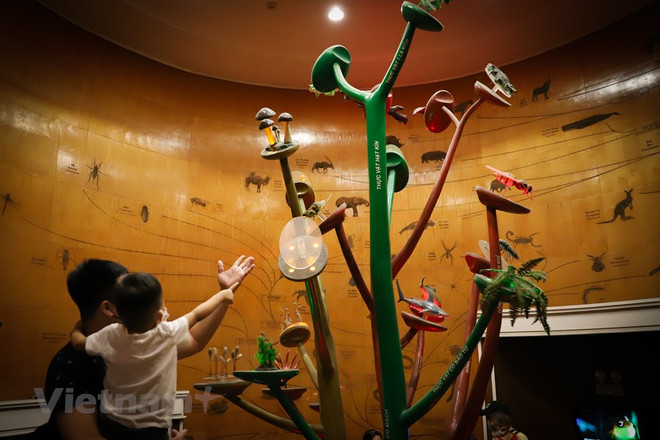 Le Musée de la nature du Vietnam dévoile l’épopée de la vie ảnh 4 Le Musée de la nature du Vietnam dévoile l’épopée de la vie ảnh 4