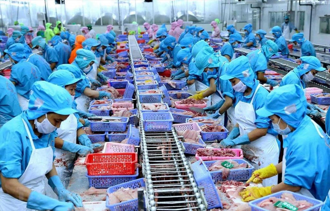 Recul des exportations de produits aquatiques en juillet ảnh 1 Recul des exportations de produits aquatiques en juillet ảnh 1