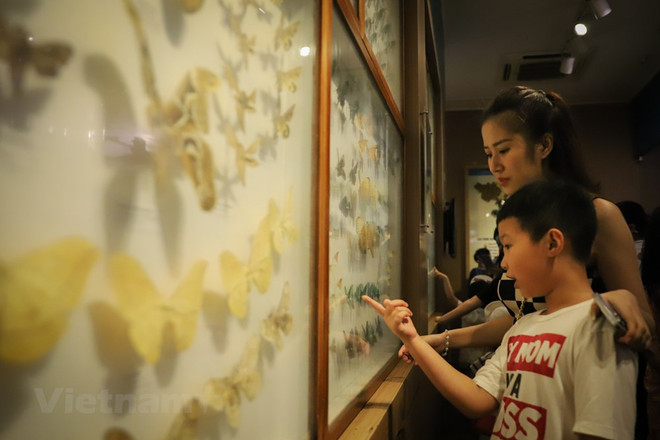 Le Musée de la nature du Vietnam dévoile l’épopée de la vie ảnh 10 Le Musée de la nature du Vietnam dévoile l’épopée de la vie ảnh 10