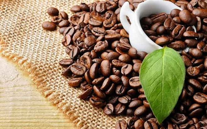 Les exportations de café en cinq mois dépassent 2 milliards de dollars ảnh 1 Les exportations de café en cinq mois dépassent 2 milliards de dollars ảnh 1