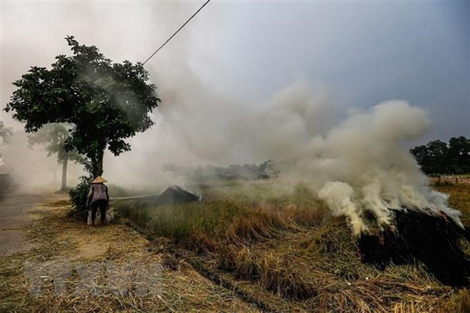 L'ONU loue des efforts du Vietnam dans la résilience au changement climatique ảnh 1 L'ONU loue des efforts du Vietnam dans la résilience au changement climatique ảnh 1
