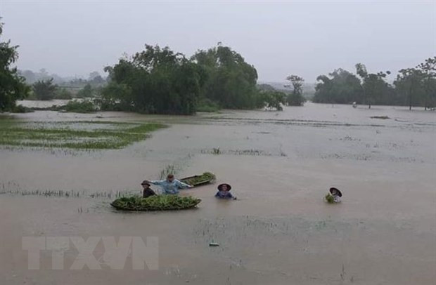 De fortes pluies causent de lourds dégâts dans les localités du Nord ảnh 3 De fortes pluies causent de lourds dégâts dans les localités du Nord ảnh 3
