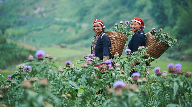 GREAT aide à autonomiser les femmes issues d'ethnies minoritaires ảnh 1 GREAT aide à autonomiser les femmes issues d'ethnies minoritaires ảnh 1