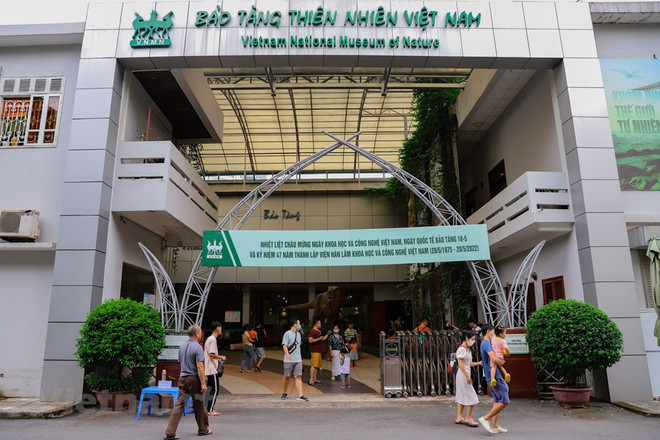 Le Musée de la nature du Vietnam dévoile l’épopée de la vie ảnh 1 Le Musée de la nature du Vietnam dévoile l’épopée de la vie ảnh 1