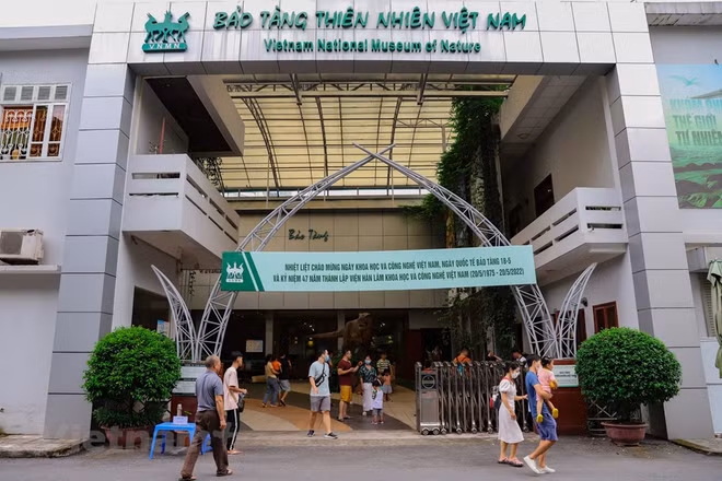  Le Musée de la nature du Vietnam dévoile l’épopée de la vie ảnh 1