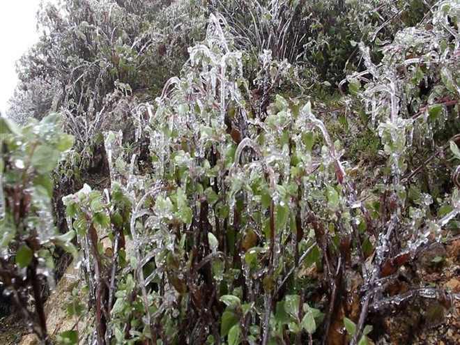 Le froid de canard persiste dans le Nord et à Thanh Hoa jusqu’au 22 février ảnh 2 Le froid de canard persiste dans le Nord et à Thanh Hoa jusqu’au 22 février ảnh 2