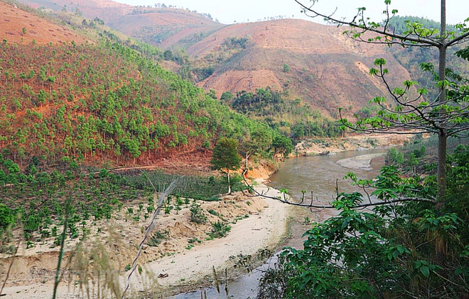 Le Vietnam compte plus de 1,2 million d'hectares de terres inexploitées ảnh 1 Le Vietnam compte plus de 1,2 million d'hectares de terres inexploitées ảnh 1