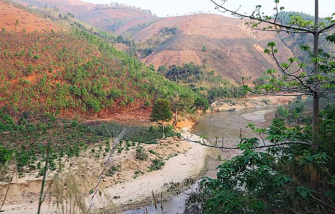 Le Vietnam compte plus de 1,2 million d'hectares de terres inexploitées ảnh 1 Le Vietnam compte plus de 1,2 million d'hectares de terres inexploitées ảnh 1