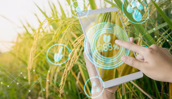 L’agriculture affirme son rôle de base solide de l'économie ảnh 2