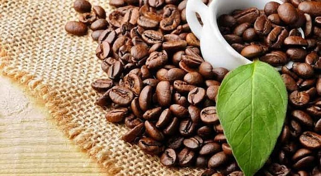 Opportunités élargies pour le café vietnamien aux États-Unis ảnh 1 Opportunités élargies pour le café vietnamien aux États-Unis ảnh 1