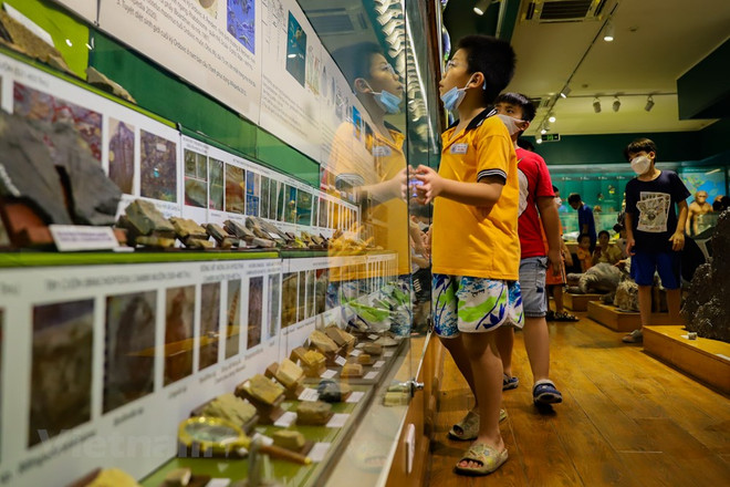 Le Musée de la nature du Vietnam dévoile l’épopée de la vie ảnh 3 Le Musée de la nature du Vietnam dévoile l’épopée de la vie ảnh 3