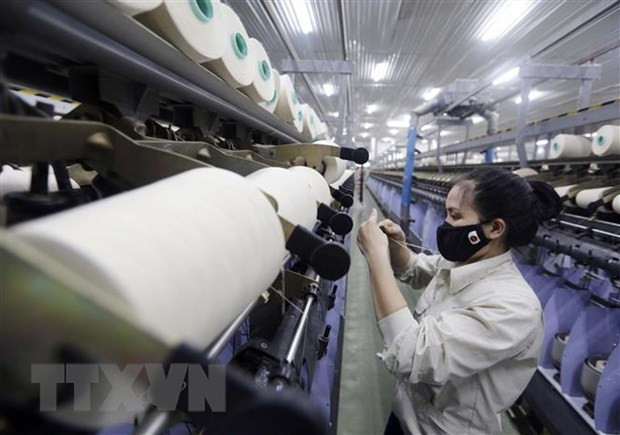 Les exportations nationales de fibres textiles ont atteint un record ảnh 1 Les exportations nationales de fibres textiles ont atteint un record ảnh 1