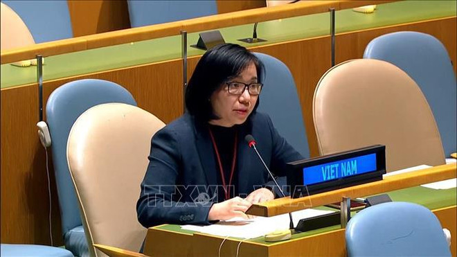 Le Vietnam s’engage à gérer efficacement les armes légères et de petit calibre ảnh 1 Le Vietnam s’engage à gérer efficacement les armes légères et de petit calibre ảnh 1