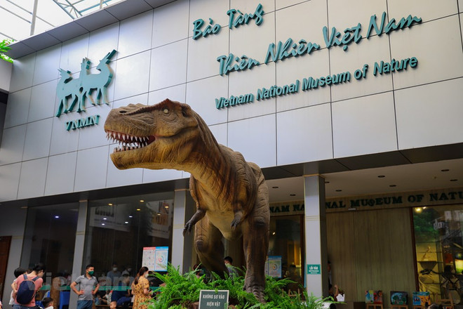 Le Musée de la nature du Vietnam dévoile l’épopée de la vie ảnh 2 Le Musée de la nature du Vietnam dévoile l’épopée de la vie ảnh 2