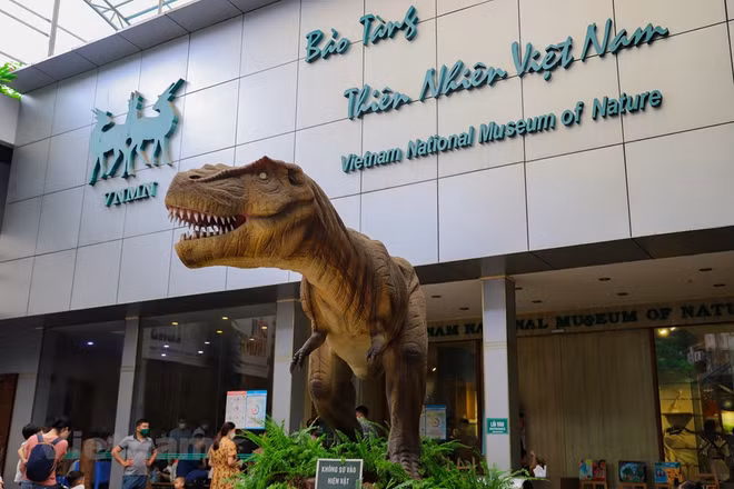  Le Musée de la nature du Vietnam dévoile l’épopée de la vie ảnh 2