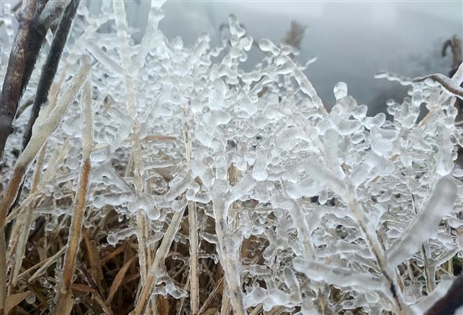 Le froid de canard persiste dans le Nord et à Thanh Hoa jusqu’au 22 février ảnh 3 Le froid de canard persiste dans le Nord et à Thanh Hoa jusqu’au 22 février ảnh 3