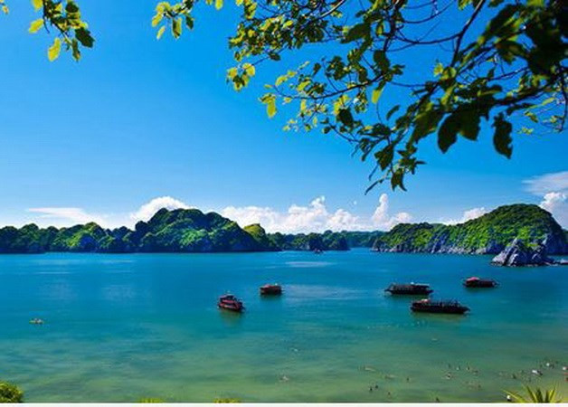 Conservation des valeurs des réserves mondiales de biosphère au Vietnam ảnh 1 Conservation des valeurs des réserves mondiales de biosphère au Vietnam ảnh 1