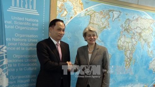 L'UNESCO apprécie les contributions du Vietnam ảnh 1 L'UNESCO apprécie les contributions du Vietnam ảnh 1