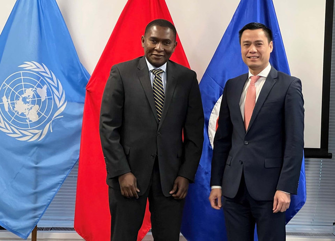 L'ONU affirme aider le Vietnam à répondre au changement climatique ảnh 1 L'ONU affirme aider le Vietnam à répondre au changement climatique ảnh 1