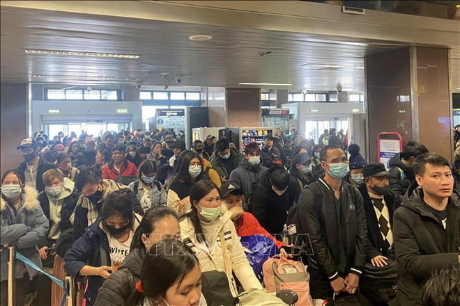 Plus de 4.600 Vietnamiens évacués d'Ukraine vers les pays voisins ảnh 1