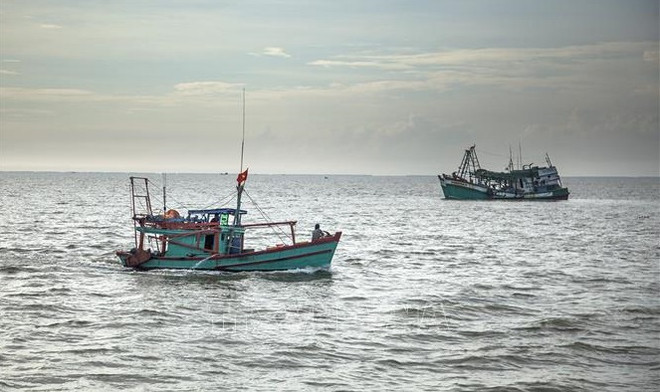 La gestion des bateaux de pêche par satellite pour voir la vie en vert ảnh 1 La gestion des bateaux de pêche par satellite pour voir la vie en vert ảnh 1