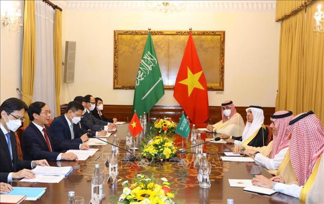 Vietnam-Arabie saoudite: Entretien entre les ministres des Affaires étrangères ảnh 1