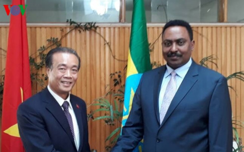 L’Éthiopie demande au Vietnam de rouvrir son ambassade à Addis-Abeba ảnh 1 L’Éthiopie demande au Vietnam de rouvrir son ambassade à Addis-Abeba ảnh 1