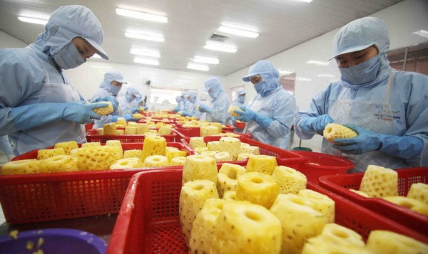 Les activités d'exportation de fruits et légumes demeurent dynamiques ảnh 1 Les activités d'exportation de fruits et légumes demeurent dynamiques ảnh 1