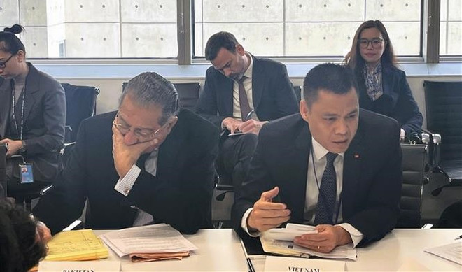 ONU : le Vietnam partage des expériences en matière de résilience au changement climatique ảnh 1 ONU : le Vietnam partage des expériences en matière de résilience au changement climatique ảnh 1