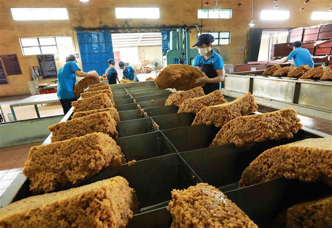 Le Vietnam et la Chine promeuvent le commerce des produits agricoles ảnh 2 Le Vietnam et la Chine promeuvent le commerce des produits agricoles ảnh 2
