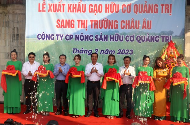 Quang Tri exporte le premier lot de riz bio vers l’Europe ảnh 1 Quang Tri exporte le premier lot de riz bio vers l’Europe ảnh 1
