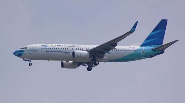 Le secteur de l'aviation indonésien devrait se redresser plus rapidement que prévu ảnh 1 Le secteur de l'aviation indonésien devrait se redresser plus rapidement que prévu ảnh 1