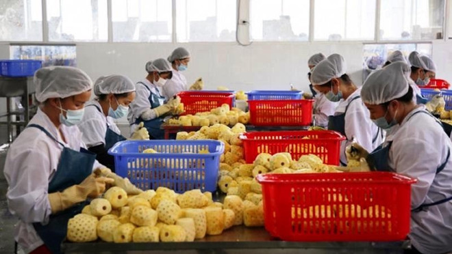 La Chine délivre 435 codes pour des entreprises d'exportation du Vietnam ảnh 1 La Chine délivre 435 codes pour des entreprises d'exportation du Vietnam ảnh 1